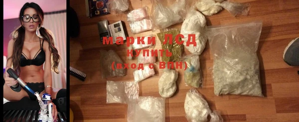 стафф Алзамай