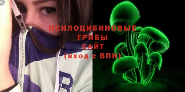 стафф Алзамай