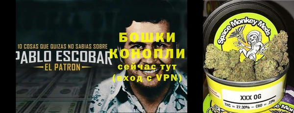 дурь Алексин