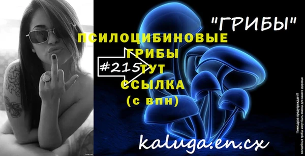 дурь Алексин