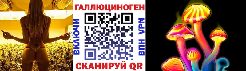 купить наркотики цена  даркнет телеграм  Псилоцибиновые грибы прущие грибы  Любань 